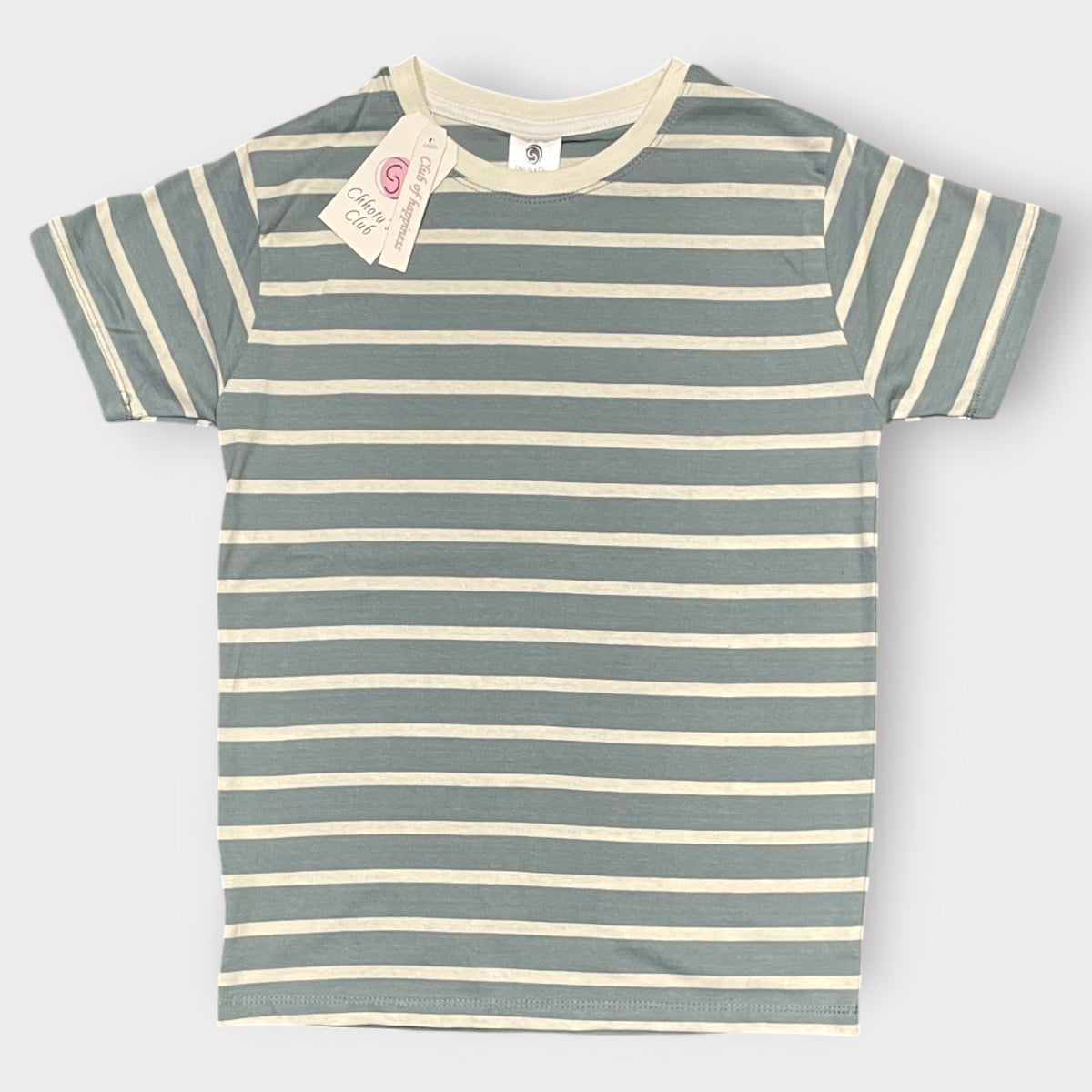 Kids Sage Striped T-Shirt – Casual Everyday Crew Neck Tee