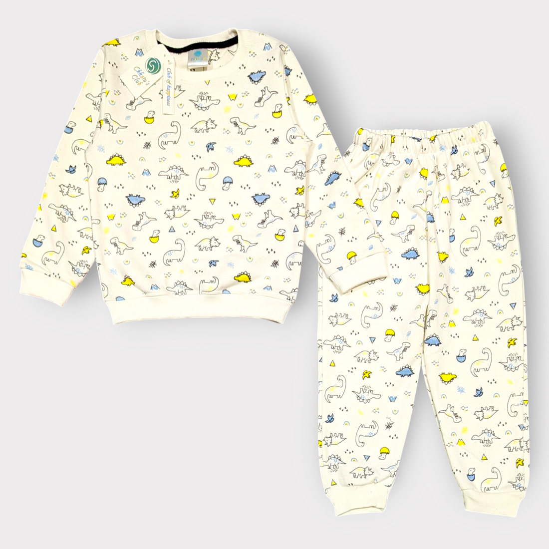 Dinosaur Print Lounge Set