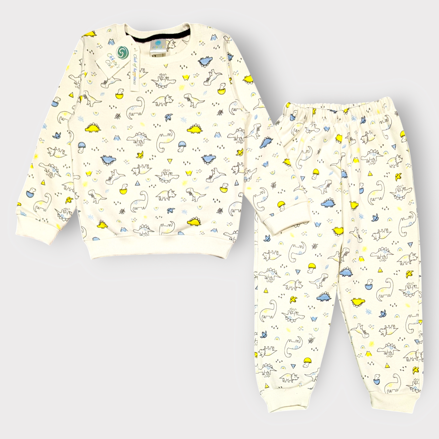 Dinosaur Print Lounge Set