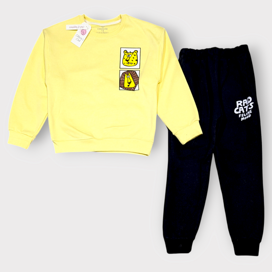 Rad Cats Feline Mood Kids Sweatshirt & Jogger Set