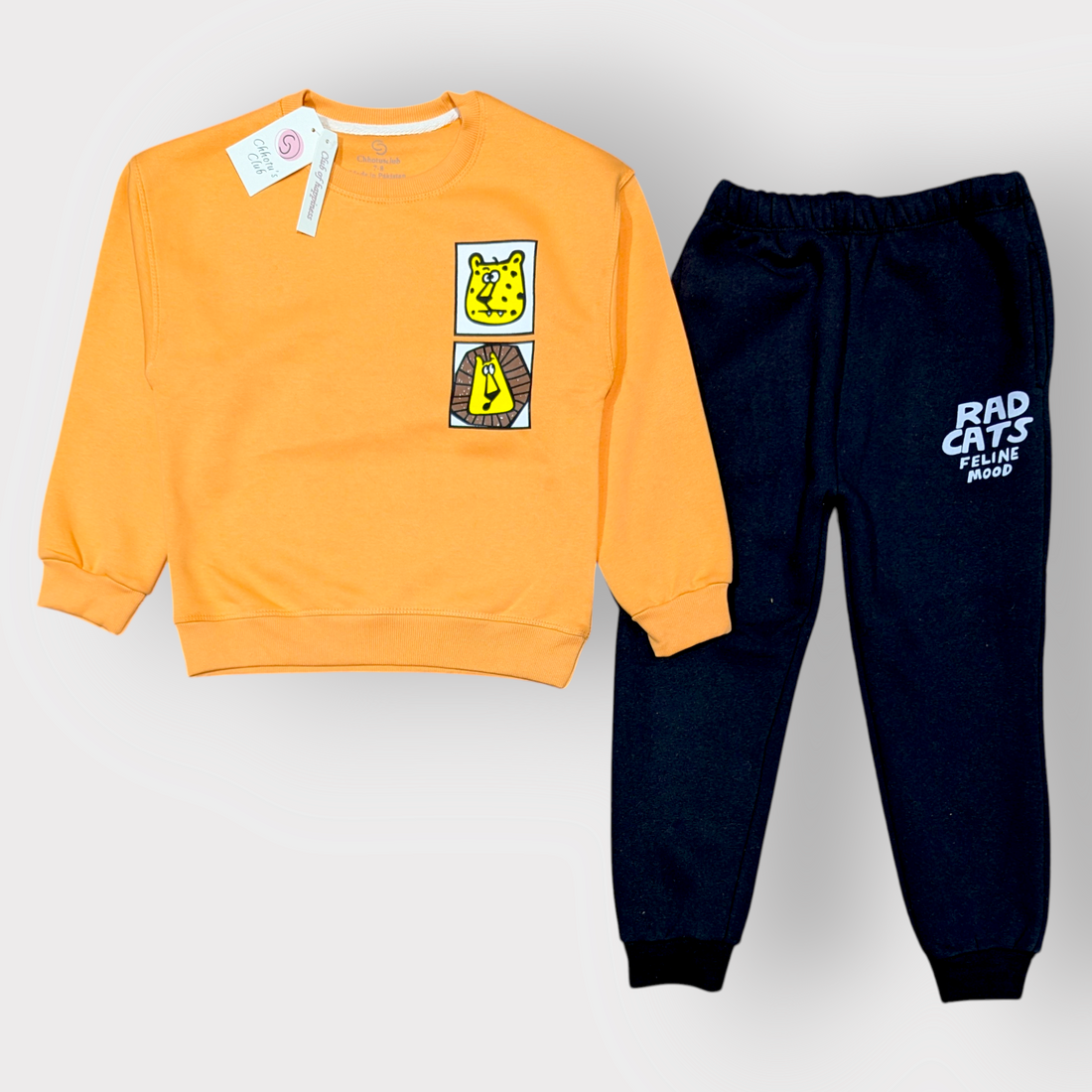 Rad Cats Feline Mood Kids Sweatshirt & Jogger Set