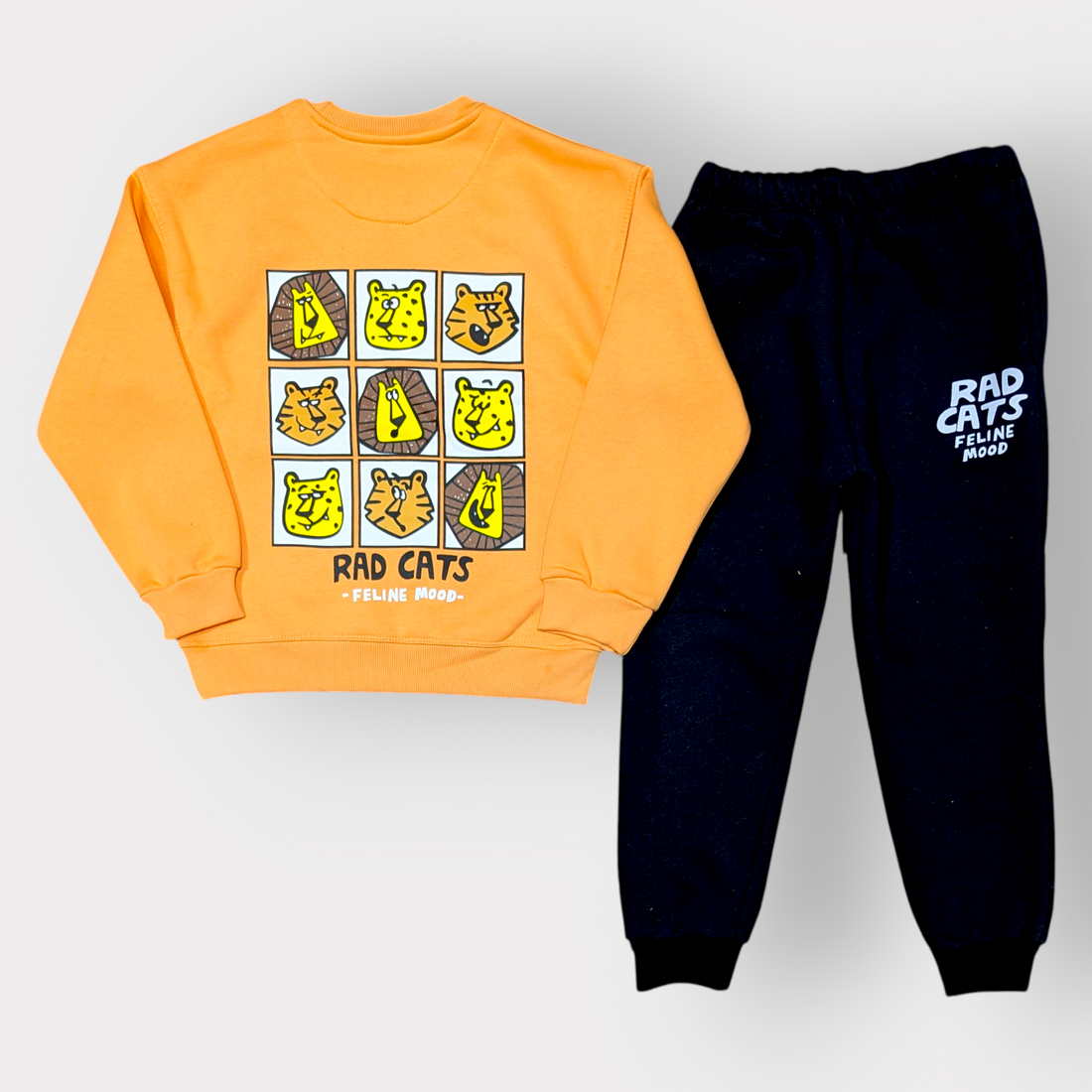 Rad Cats Feline Mood Kids Sweatshirt & Jogger Set