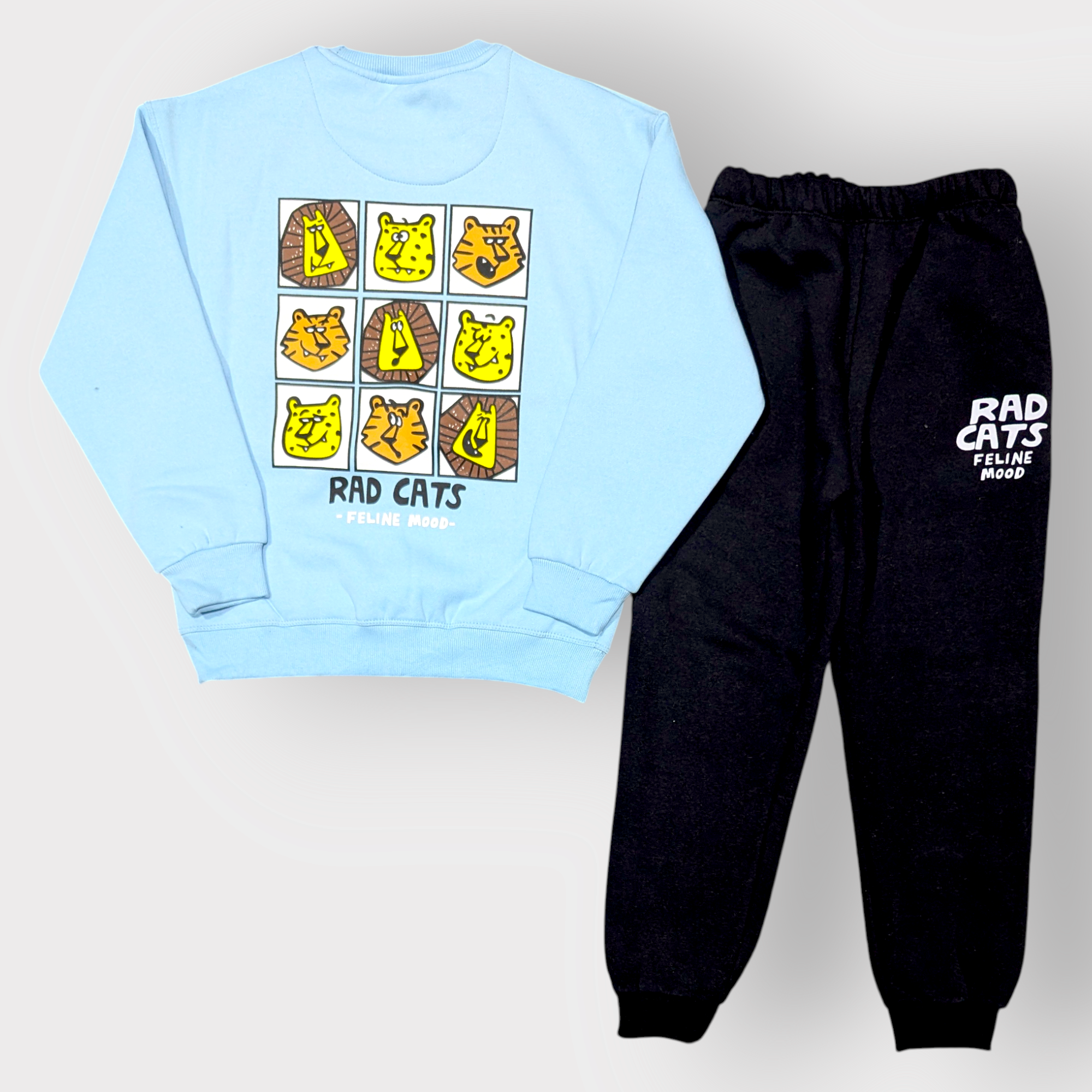 Rad Cats Feline Mood Kids Sweatshirt & Jogger Set
