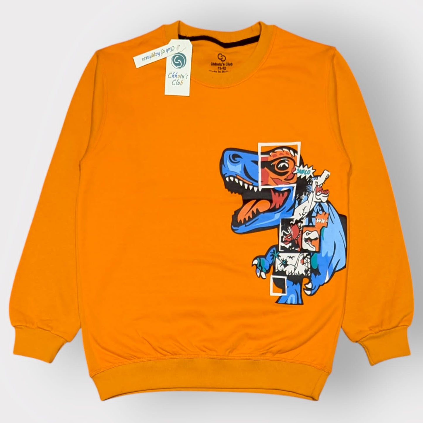 Dino Graphic Kids Sweatshirt